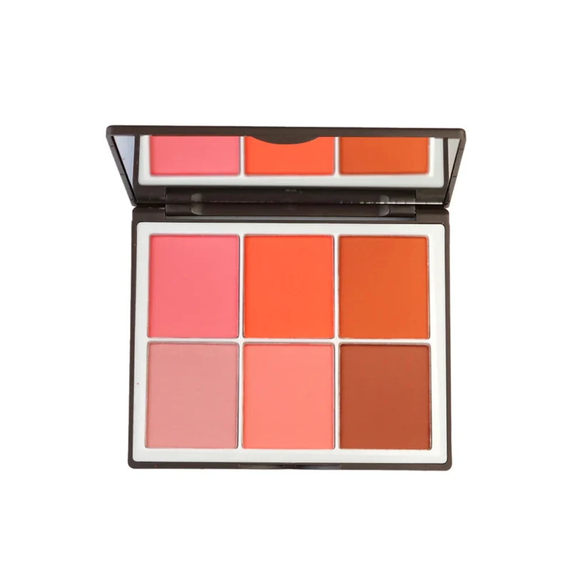 6 Color Elegant Matt & Silky Blushon